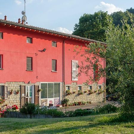 Al Sasseto B&B Montagnana  Экстерьер фото