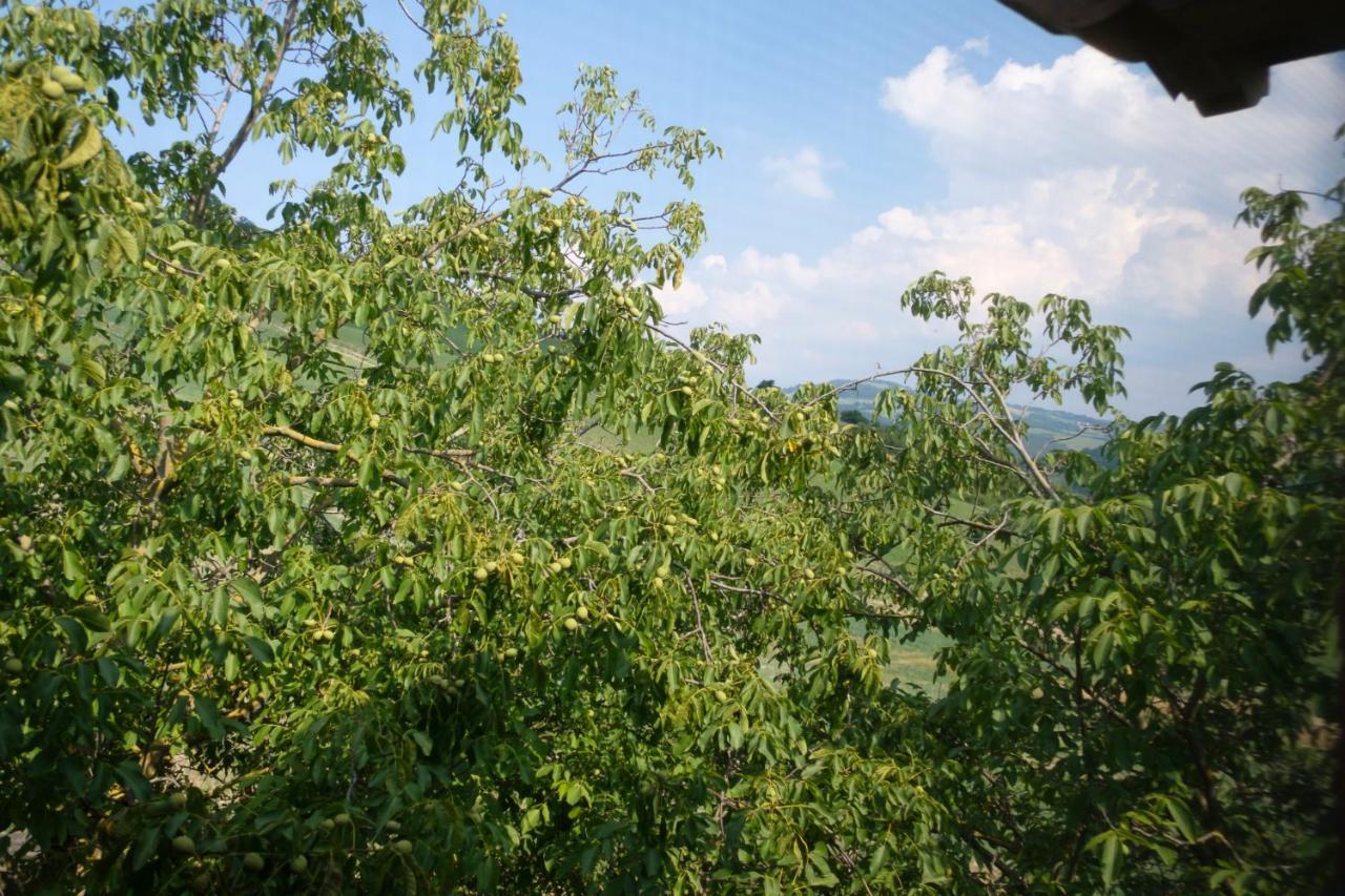 Al Sasseto B&B Montagnana  Экстерьер фото