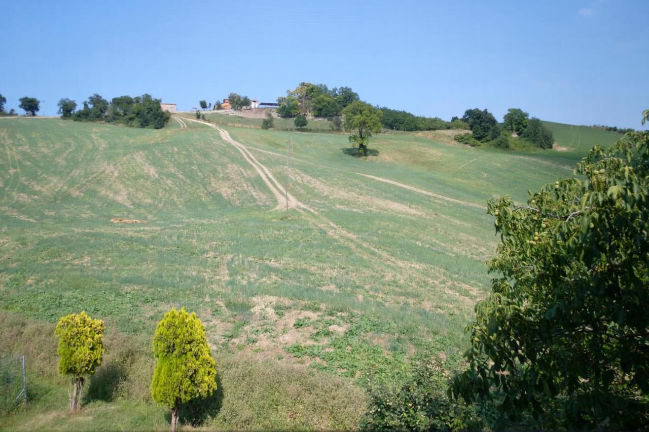 Al Sasseto B&B Montagnana  Экстерьер фото