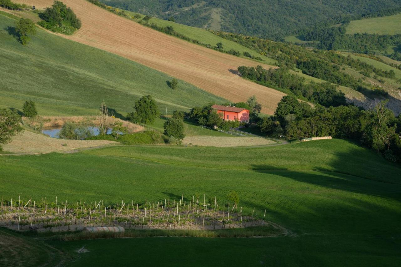 Al Sasseto B&B Montagnana  Экстерьер фото