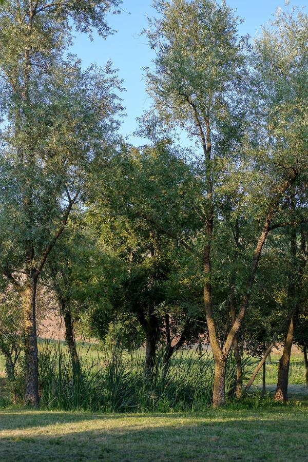 Al Sasseto B&B Montagnana  Экстерьер фото