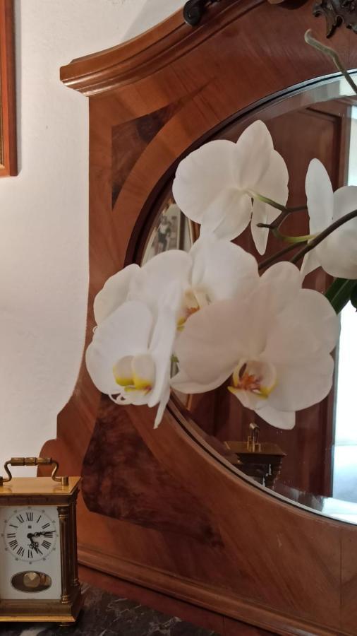 Al Sasseto B&B Montagnana  Экстерьер фото